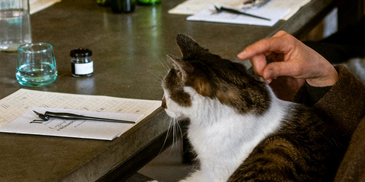 Calligraphy for Cats crop