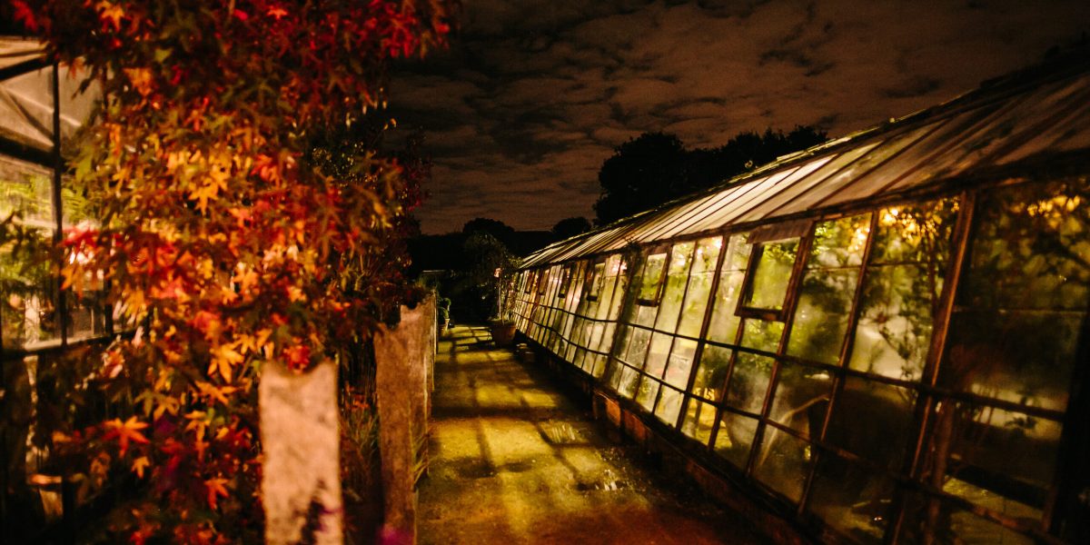 Kate Ridyard Calligraphy courses at Petersham Nurseries